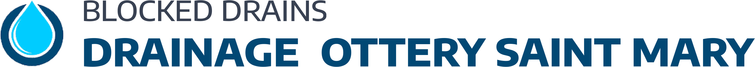 website logo